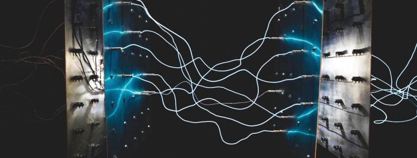 Sage Intacct and Salesforce