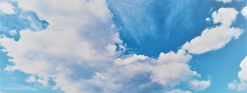 true cloud based